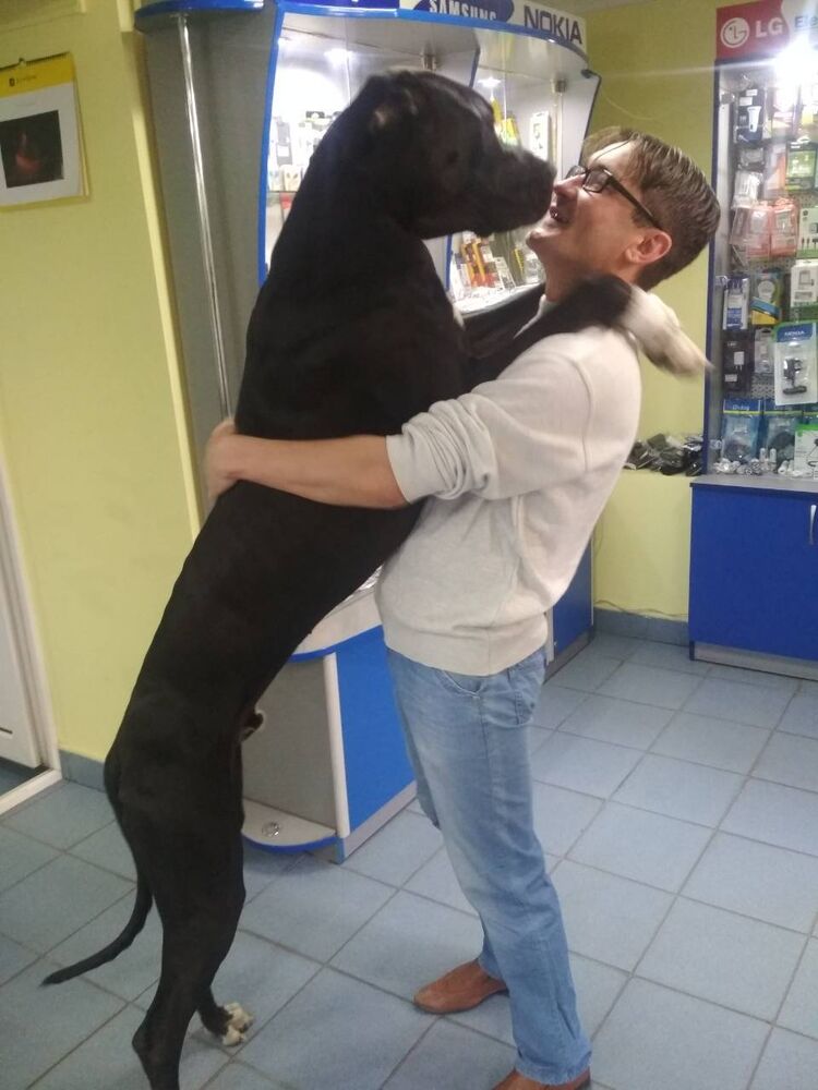 ���������� �������, ���� ������� �������, 43 ����, ������������ ��� c�������� ���������