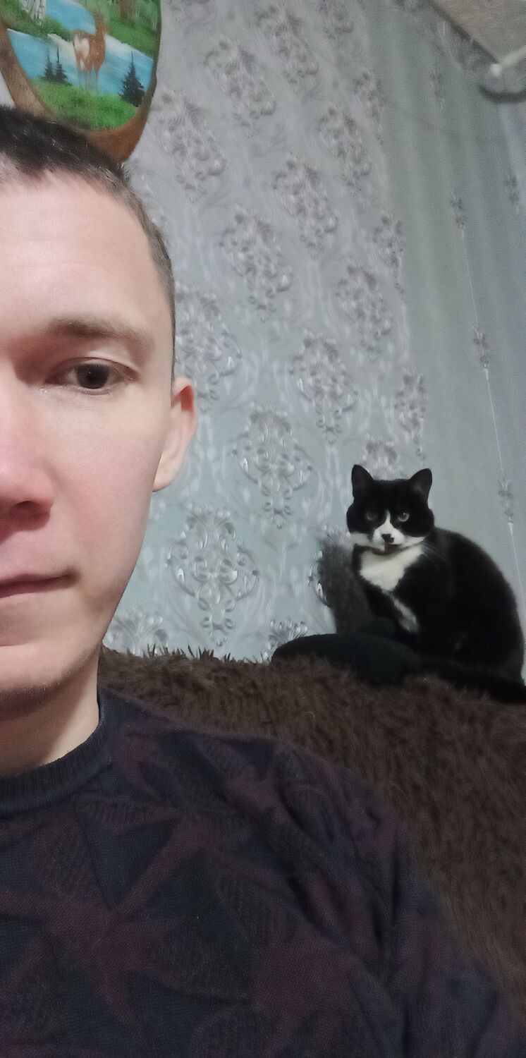 ���������� ���, ���� ������� ���������, 29 ���, ������������ ��� ����� � ���������, c�������� ���������