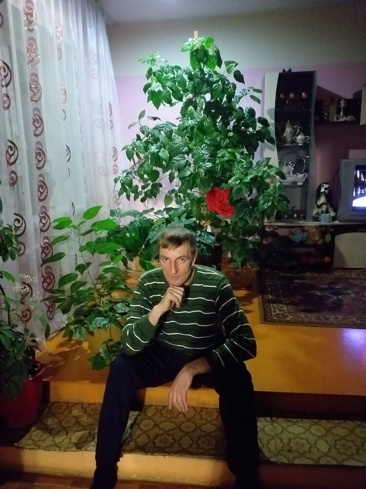  32162989  , 46 ,    
