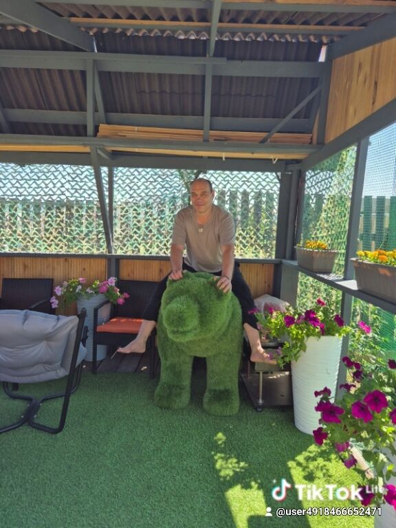  54733039  , 49 ,    -