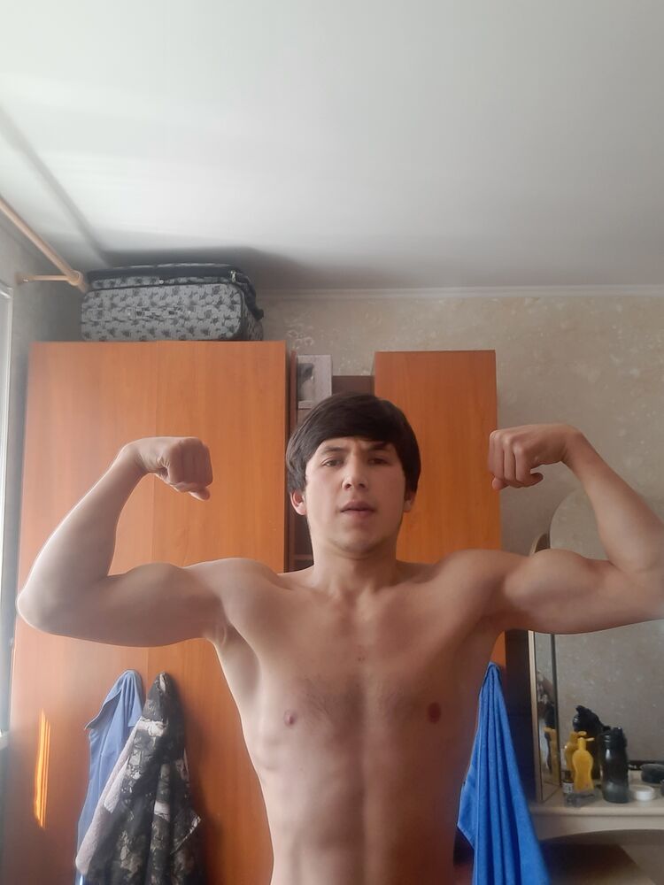  28319209  , 23 ,    