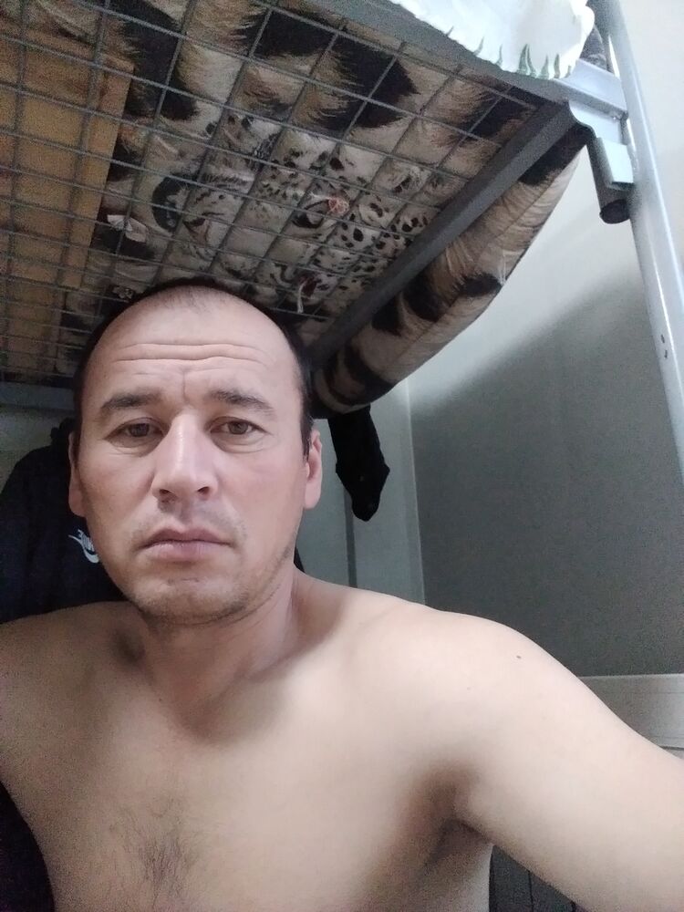  31240379  , 40 ,    