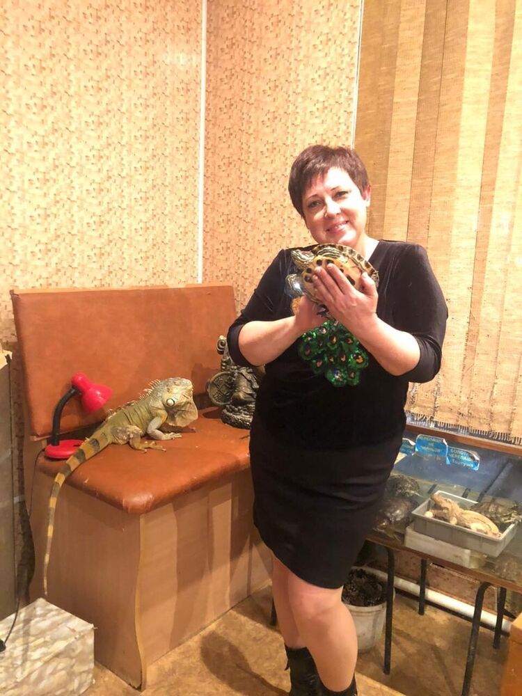  ,   , 53 ,   c 