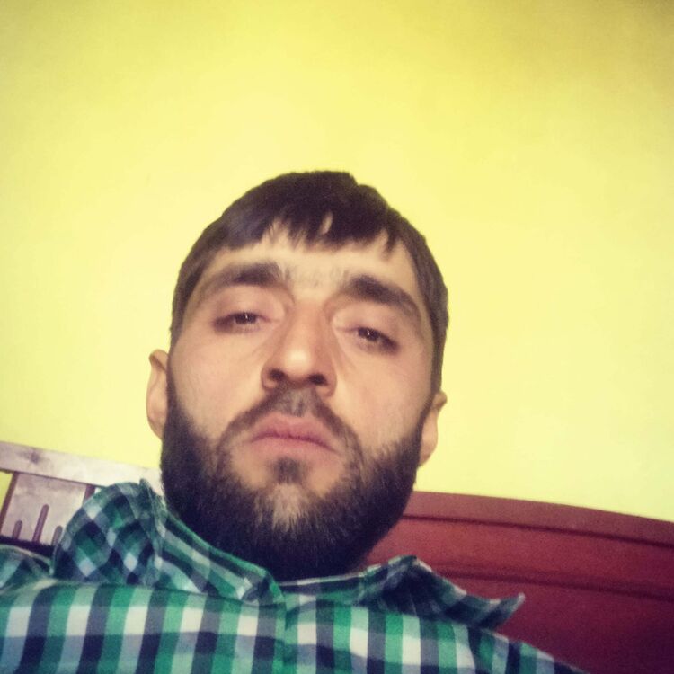  36542529  , 41 ,     
