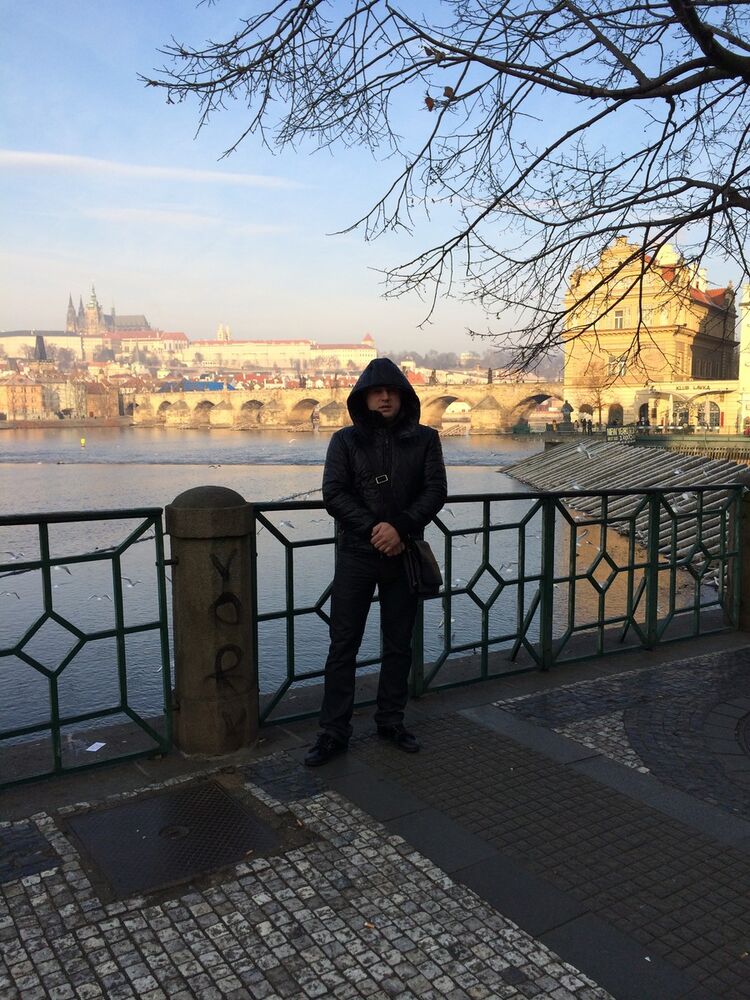  ,   Andreisidi, 43 ,   