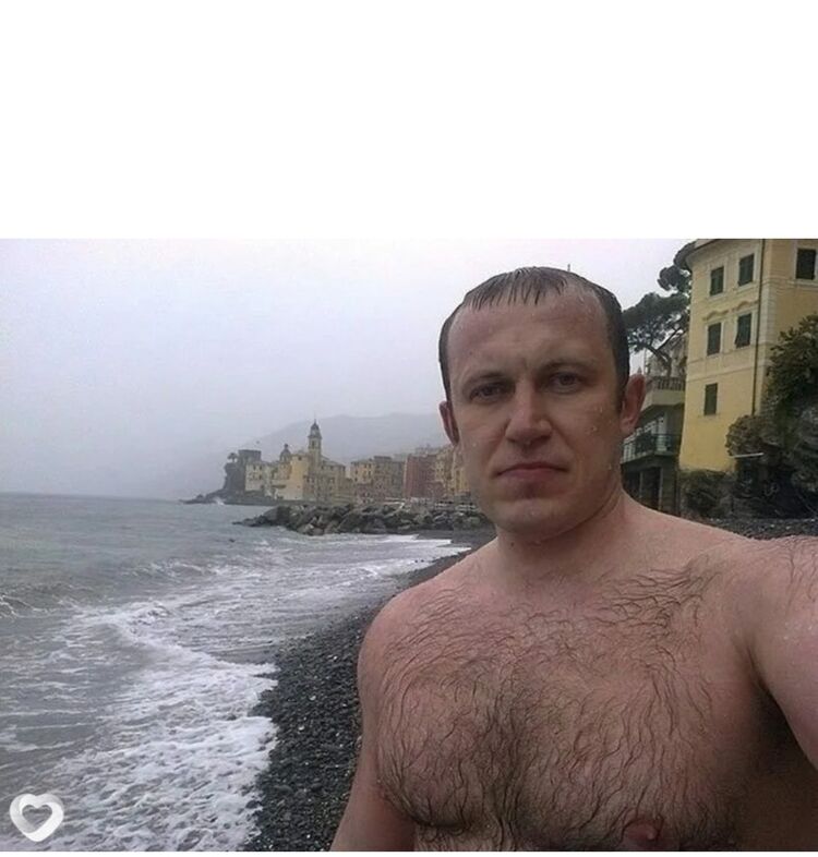  49492839  , 36 ,    