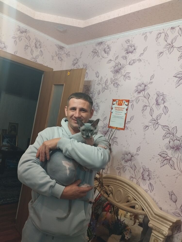 ���� 55303059 ������� ����, 38 ���, ���� ���������� � ����������