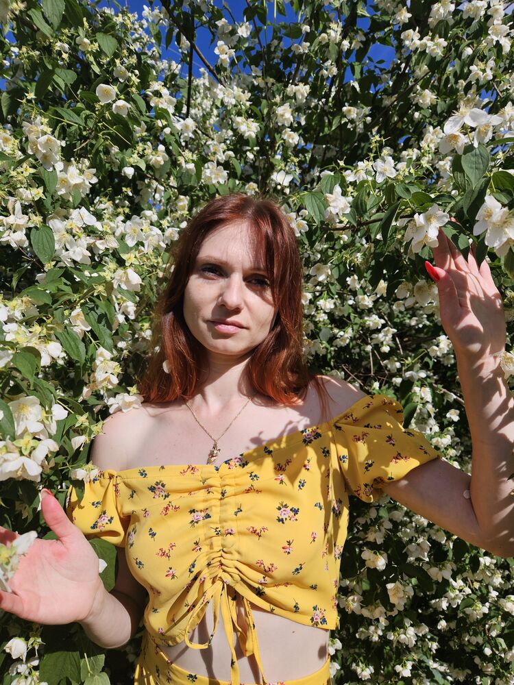 ���������� ��������, ���� ������� �����, 38 ���, ������������ ��� ������, ����� � ���������