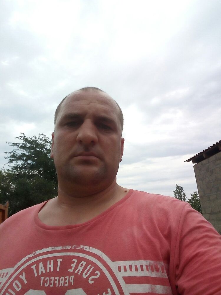  12810379  , 43 ,    