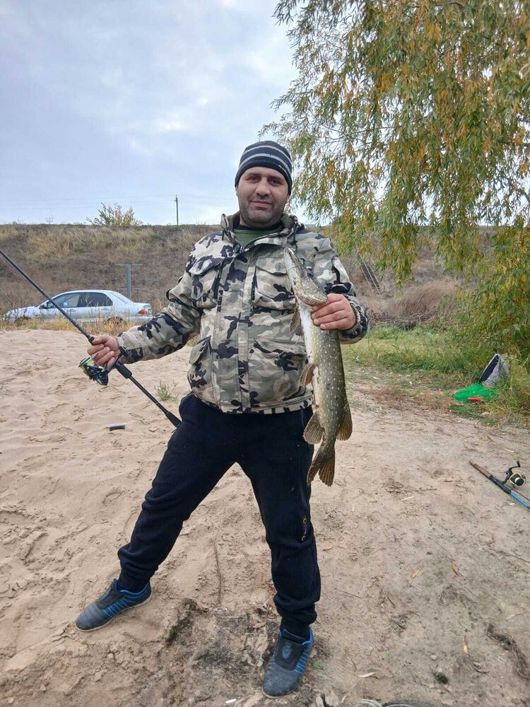 ���� 54310459 ������� ����, 36 ���, ���� ���������� � ��������