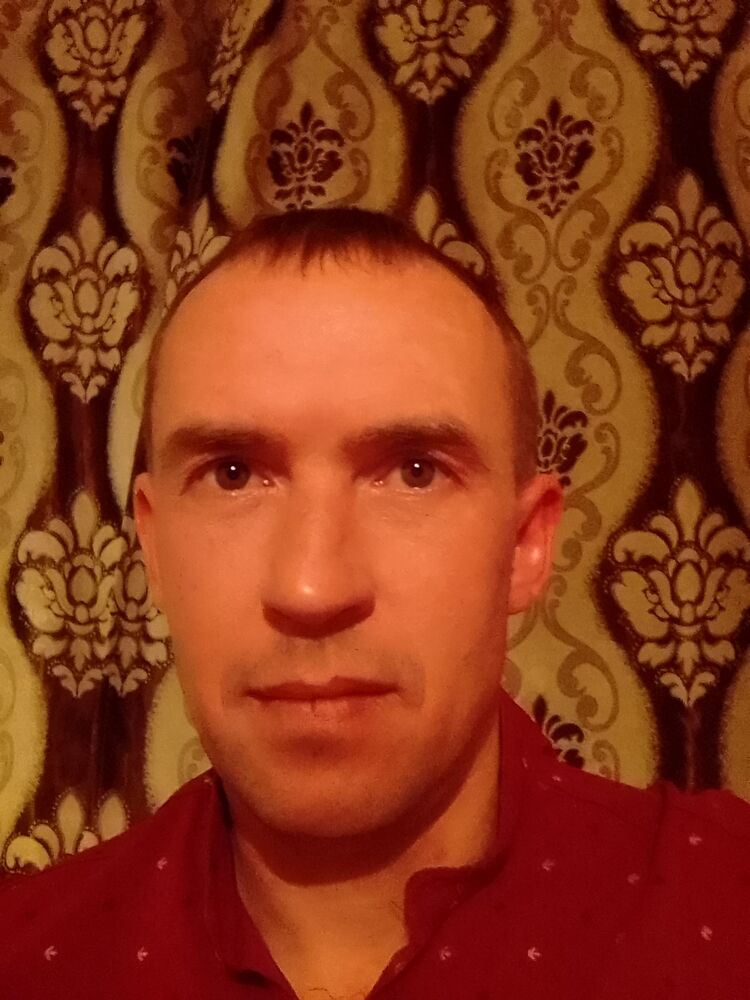  41094169  , 40 ,    