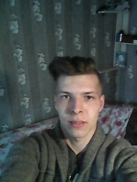  19523419  , 24 ,    