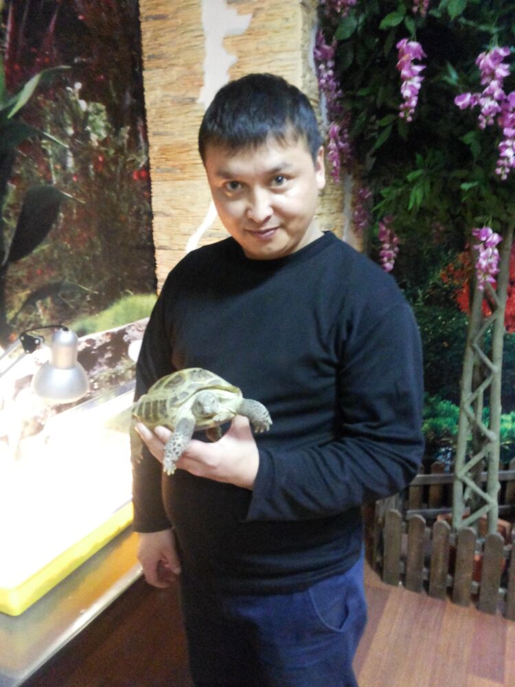 ���� 22775039 ������� ����, 42 ����, ���� ���������� � ���������