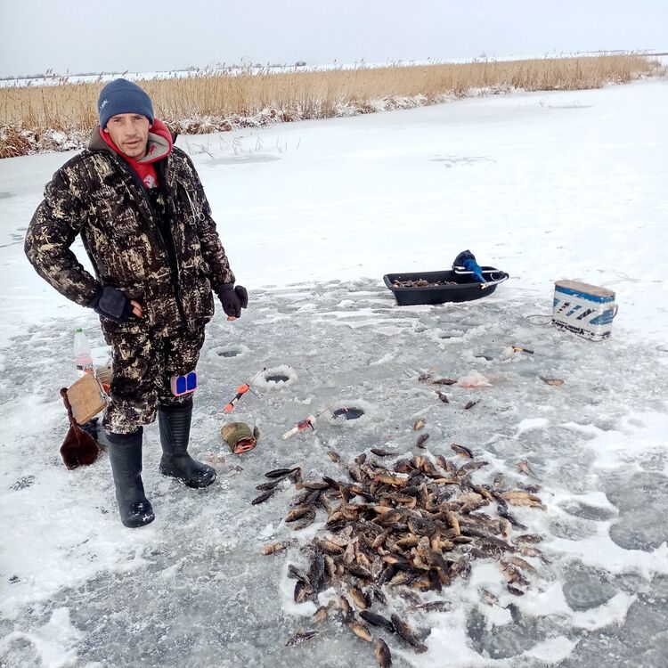 ���� 22550969 ������� ���������, 41 ���, ���� ���������� � ������