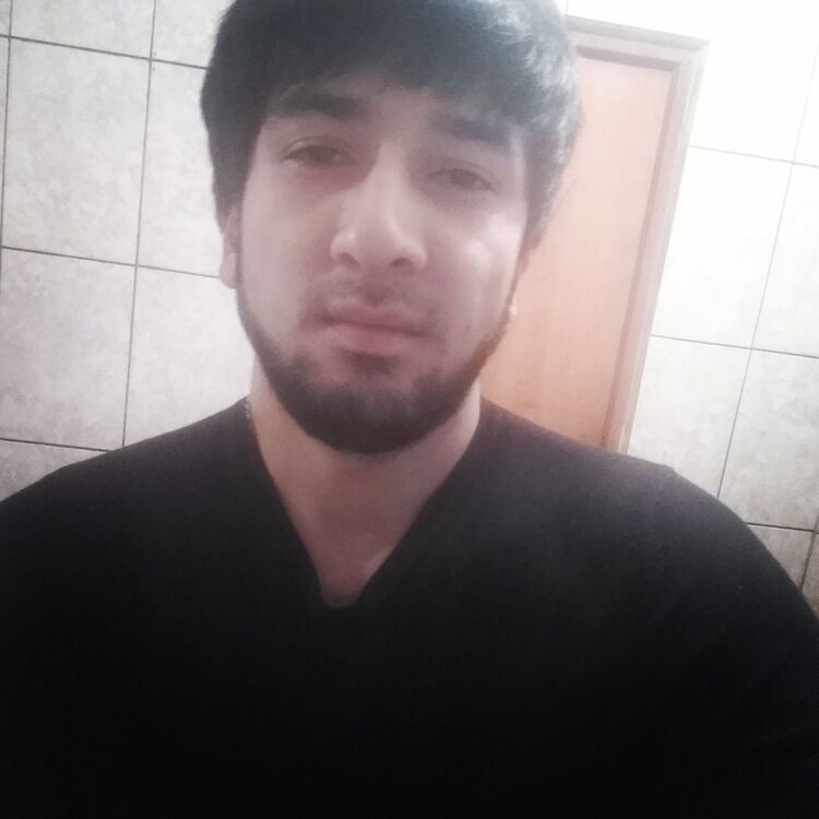  18459719  , 31 ,    