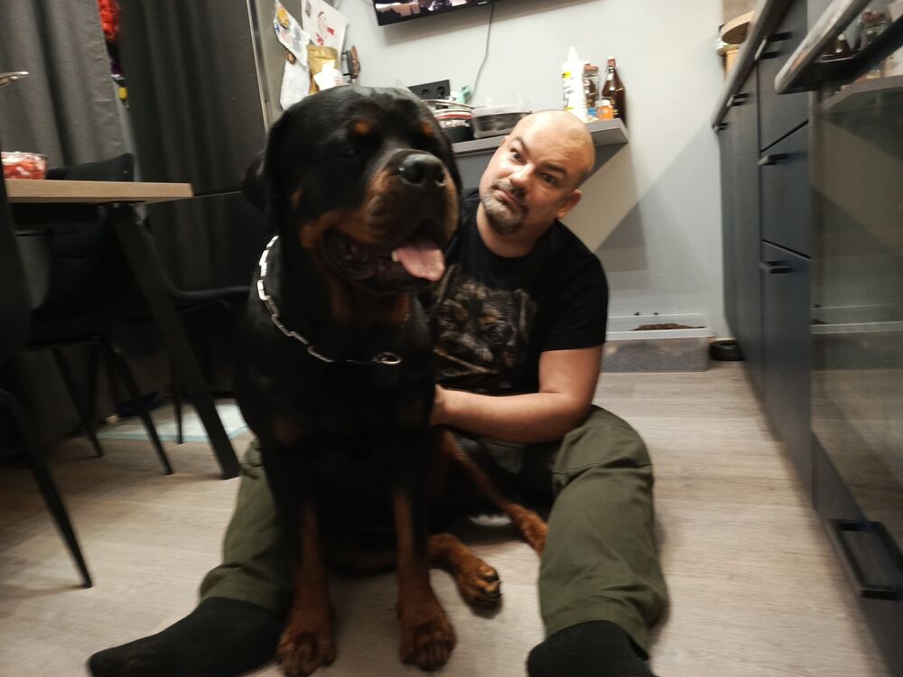  53873839  , 42 ,    -