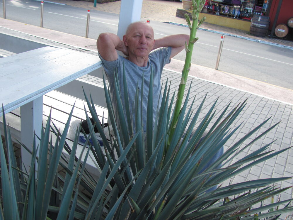  ,   Wiktor, 67 ,   ,   , c 