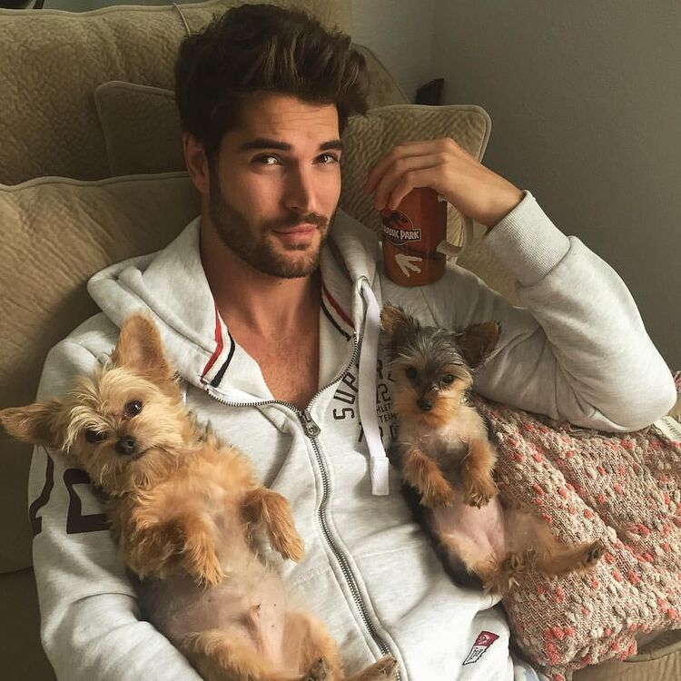 ���������� ������, ���� ������� David, 34 ����, ������������ ��� ������, ����� � ���������, c�������� ���������