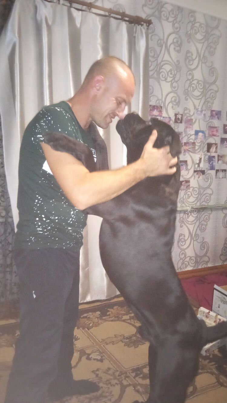 ���� 30892209 ������� �����, 35 ���, ���� ���������� � ��������