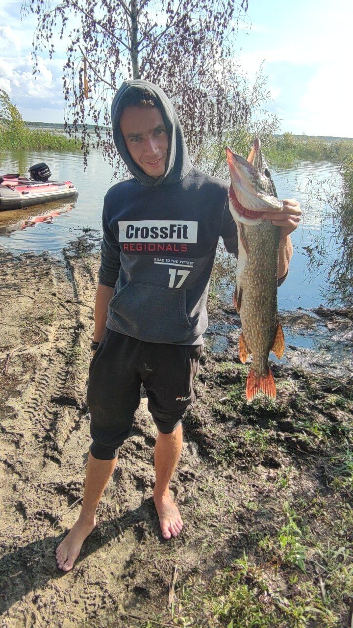 ���������� ������, ���� ������� �����, 37 ���, ������������ ��� ������, ����� � ���������