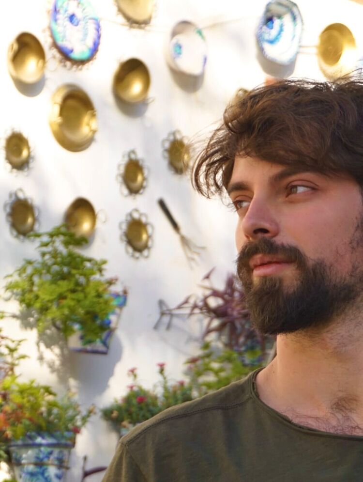 ���� 55461989 ������� ������, 33 ����, ���� ���������� � ������