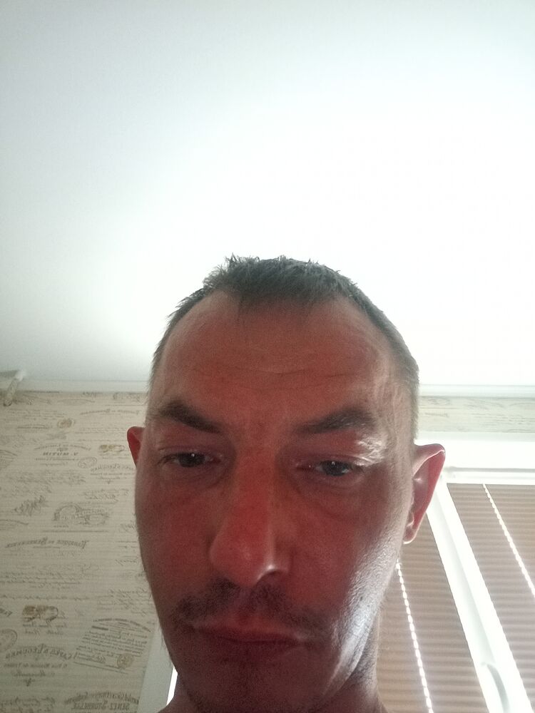 52526239  , 37 ,    