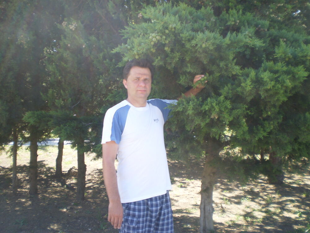 ���������� �����, ���� ������� �������, 50 ���, ������������ ��� c�������� ���������, ���������