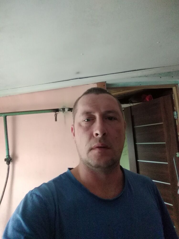  22447269  , 43 ,    