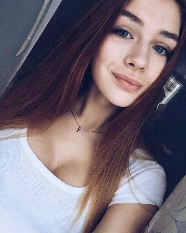  24300539  , 28 ,    