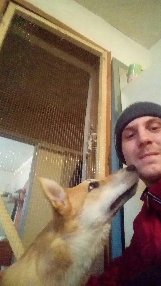 ���� 19177009 ������� �������, 30 ���, ���� ���������� � ������