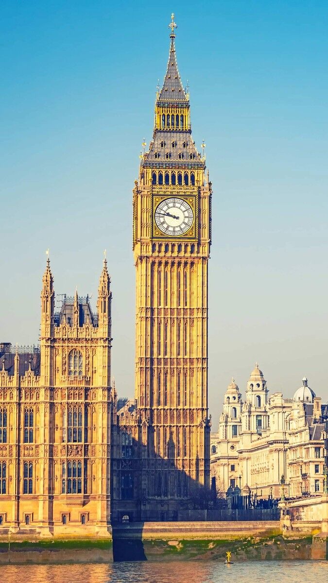 ���� 13013219 ������� ����, 33 ����, ���� ���������� � ������