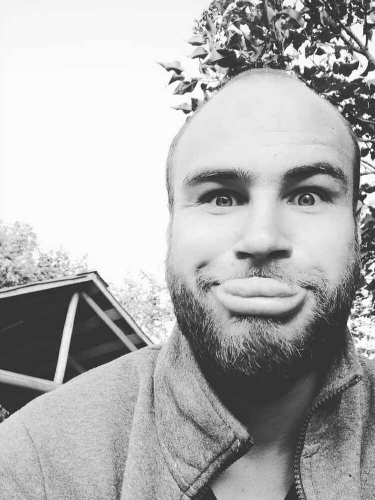 ���� 40588379 ������� Raccoon, 32 ����, ���� ���������� � ������