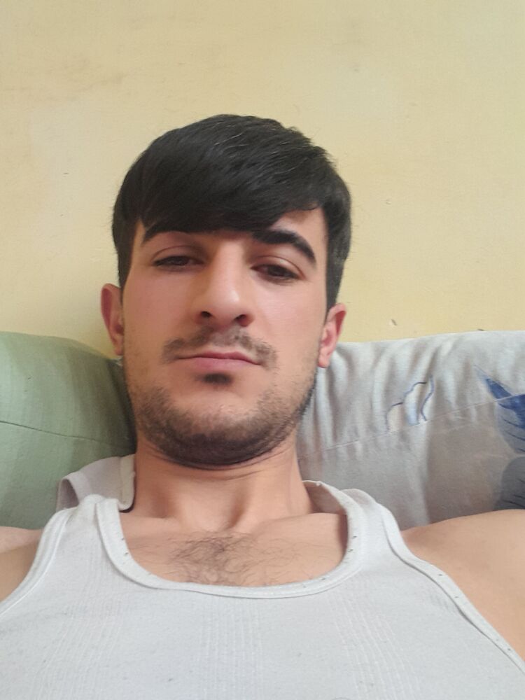  43446359  , 31 ,    
