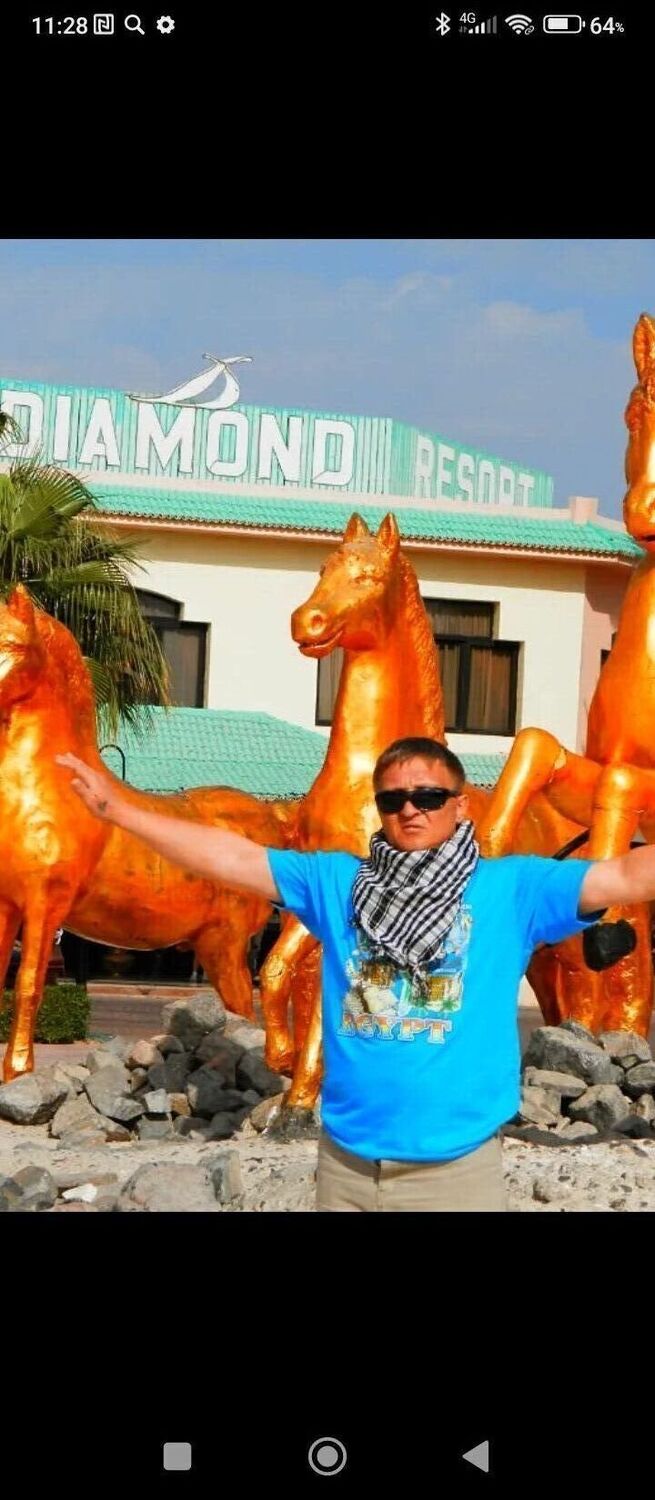  33785369  Alexey, 53 ,     