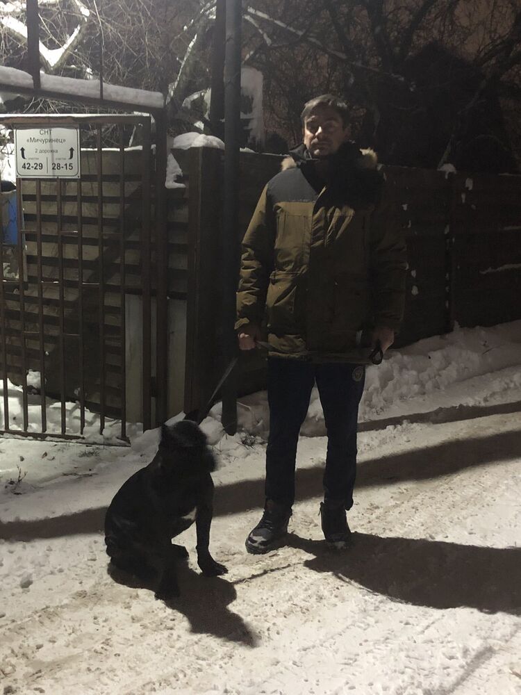 ���� 55252439 ������� ������, 45 ���, ���� ���������� � ������