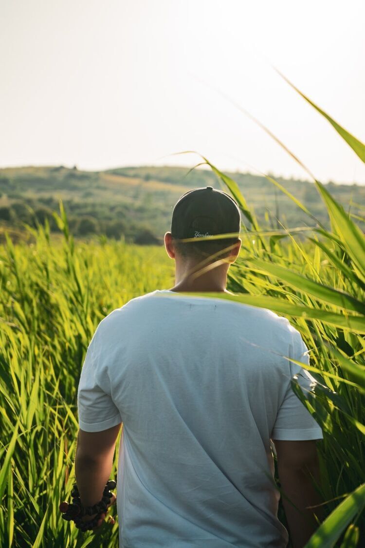 ���������� �����, ���� ������� �������, 31 ���, ������������ ��� ������, ����� � ���������