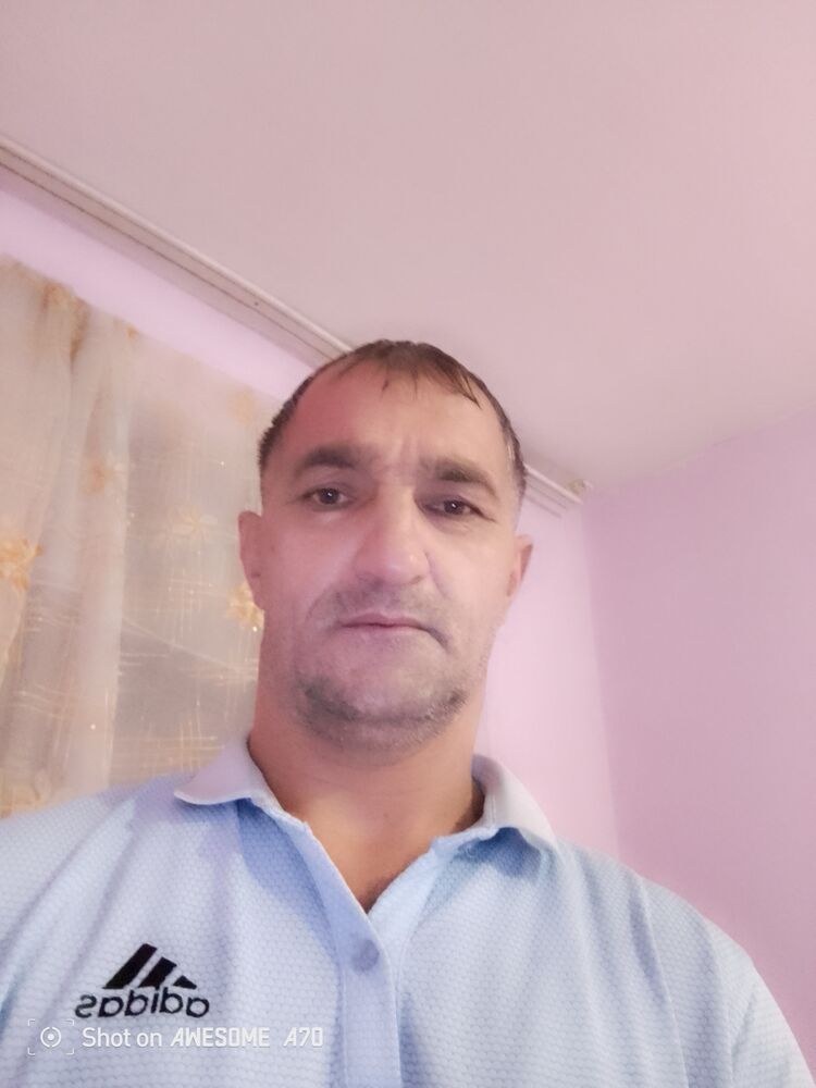  49278379  , 44 ,    