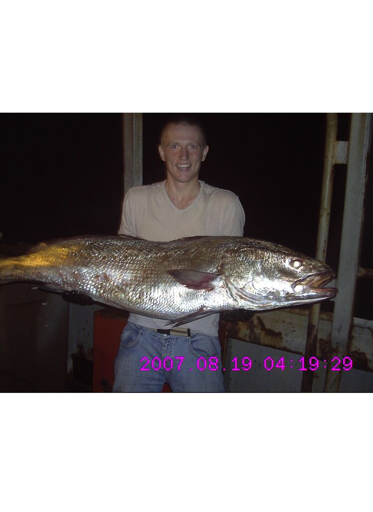 ���������� ��������, ���� ������� ������ �����, 44 ����, ������������ ��� ���������