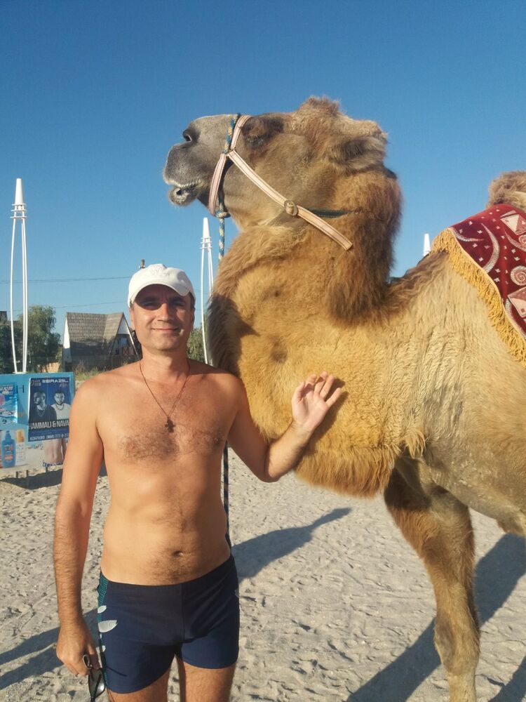 ���������� ����, ���� ������� �������, 47 ���, ������������ ��� ������, ����� � ���������