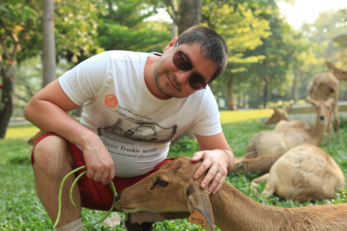 ���� 8329329 ������� ������, 43 ����, ���� ���������� � �������������