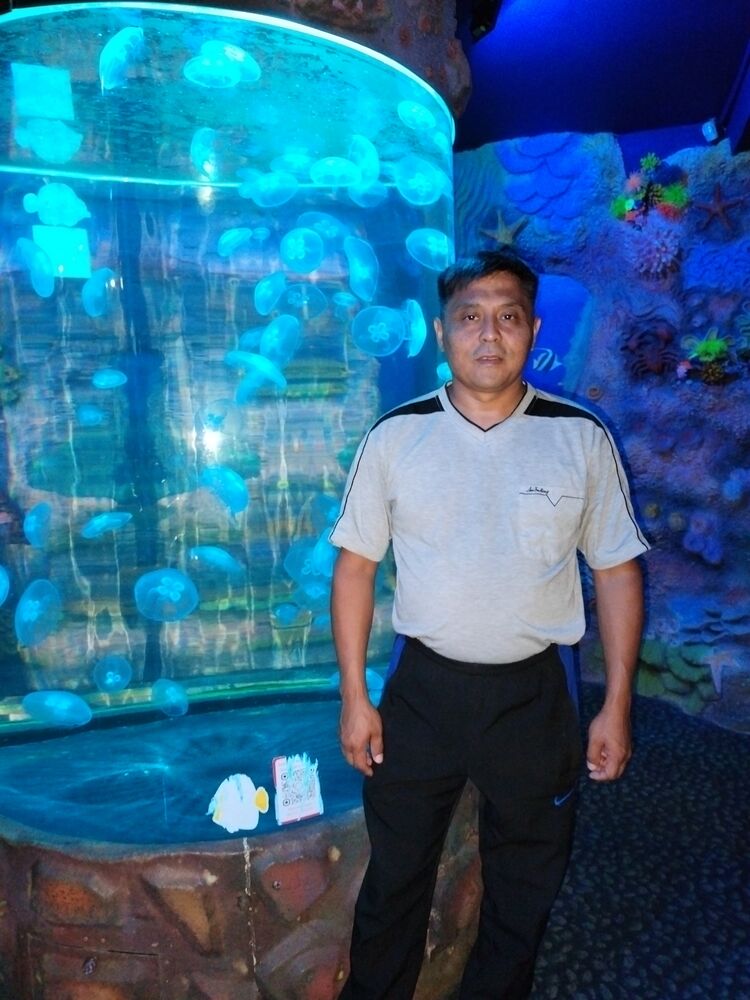 ���� 55904959 ������� ����, 45 ���, ���� ���������� � ������