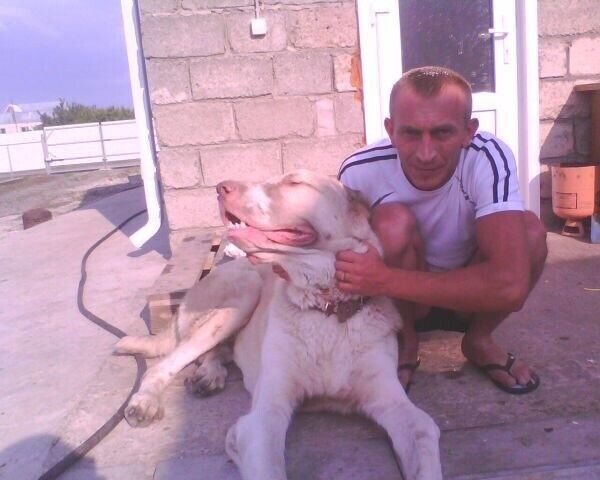 ���������� ������, ���� ������� �������, 50 ���, ������������ ��� ������, ����� � ���������, c�������� ���������