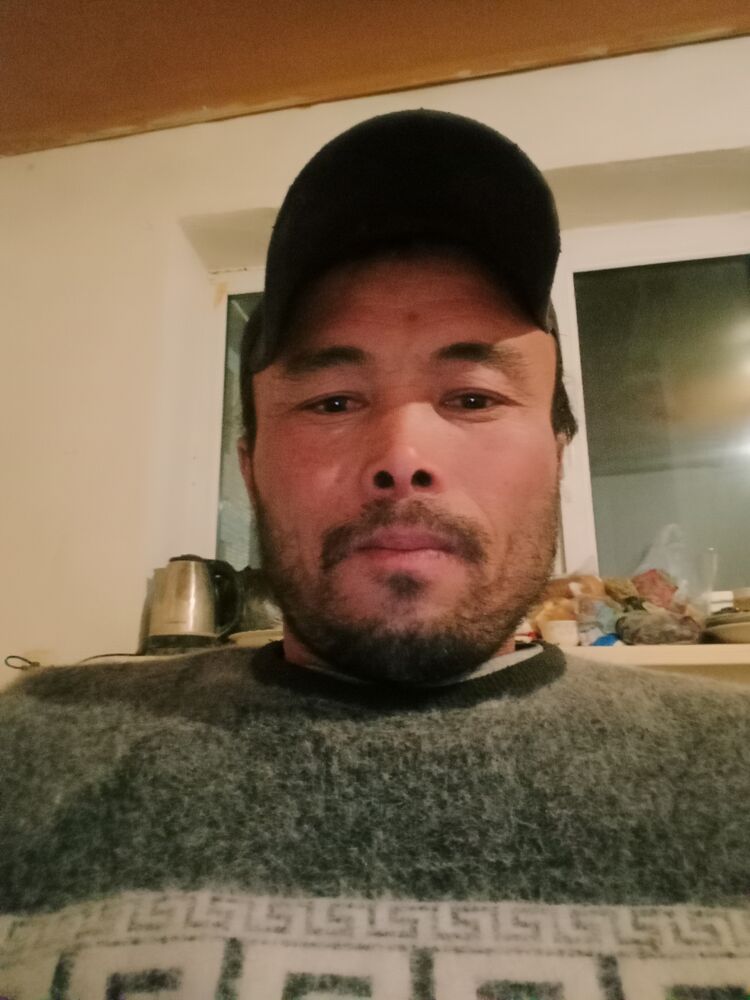  24078229  , 44 ,    