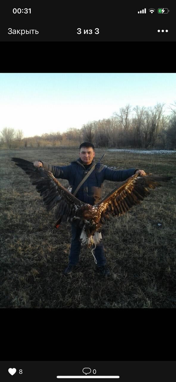 ���� 23045439 ������� �����, 36 ���, ���� ���������� � ������