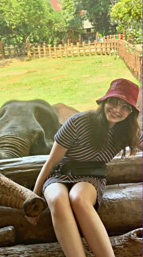 ���� 51499939 ������� �����, 32 ����, ���� ���������� � �������