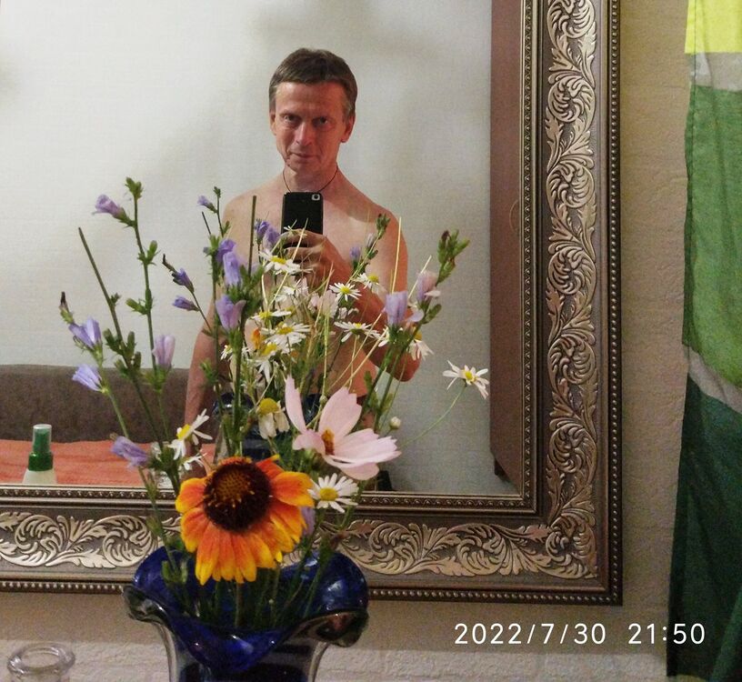 ���������� ������, ���� ������� ���������, 44 ����, ������������ ��� ������, ����� � ���������, c�������� ���������