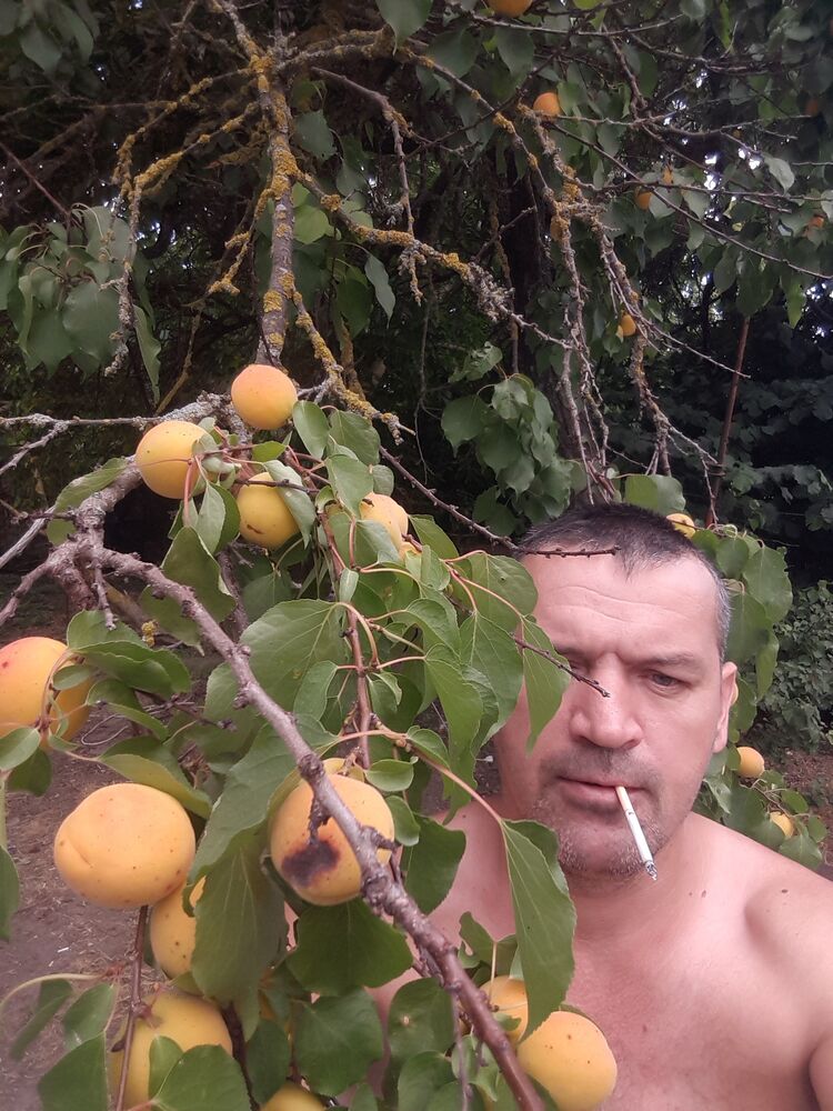  44276929  , 43 ,    