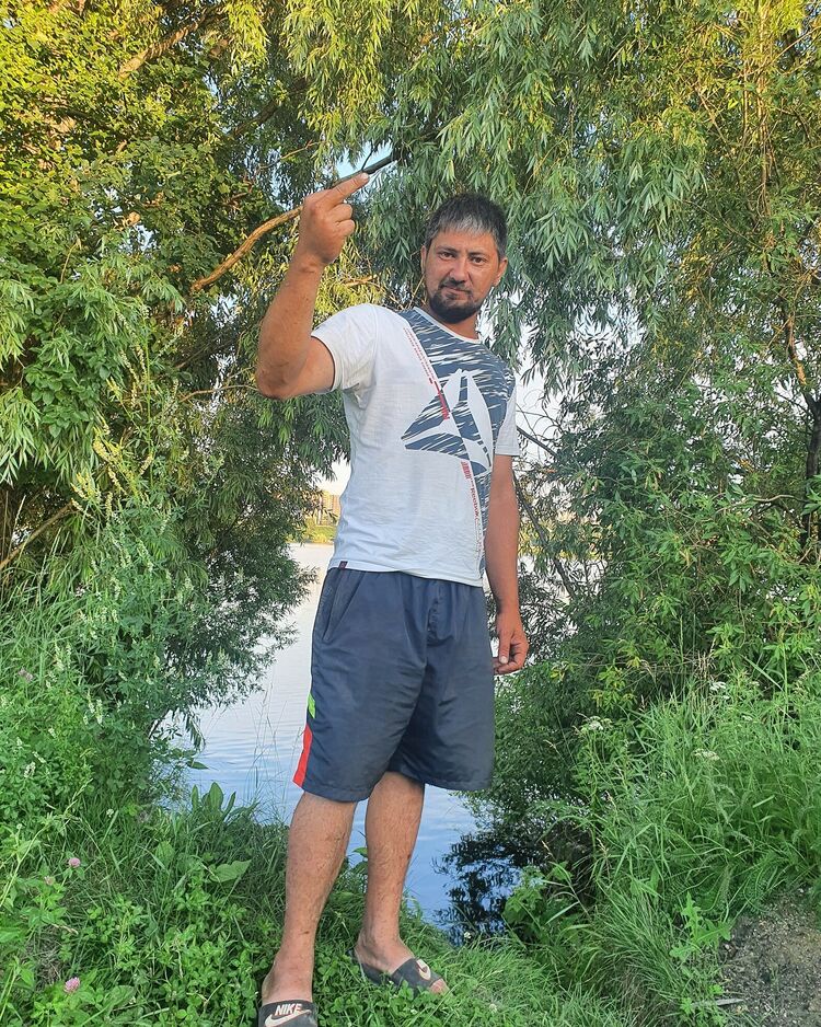 ���� 33960589 ������� �����, 36 ���, ���� ���������� � ������������