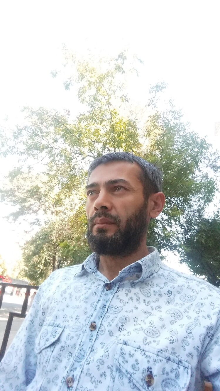 ���� 24511599 ������� ������, 49 ���, ���� ���������� � ��������