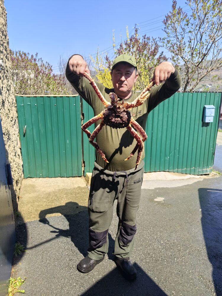 ���������� ������� ������, ���� ������� �������, 49 ���, ������������ ��� ������, ����� � ���������, c�������� ���������